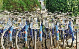 Ngoài xe buýt, đường sắt đô thị, Hà Nội sắp có cả xe đạp công cộng