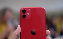 Cận cảnh iPhone 11: Chiếc iPhone flagship giá rẻ nhất của Apple