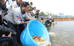 Clip: Thả 100 con cá Koi Nhật Bản xuống đoạn sông Tô Lịch làm sạch và Hồ Tây