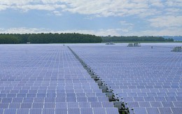 Có gì ở nhà máy điện mặt trời lớn nhất Đông Nam Á?