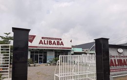 Vụ công ty địa ốc Alibaba: Áp dụng mô hình của siêu lừa thế kỷ