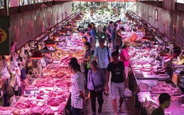 Sau đậu tương, Trung Quốc chuẩn bị mua thêm thịt lợn Mỹ