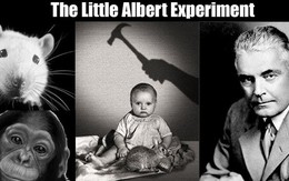 "Albert bé nhỏ" - một trong những thí nghiệm khủng khiếp nhất trong lịch sử