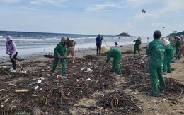 Cận cảnh bãi biển Vũng Tàu bị cả trăm tấn rác vây kín!