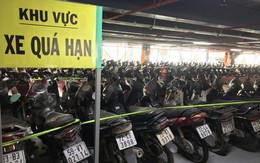 Hàng trăm xe máy 'nằm vạ' nhiều năm ở sân bay Tân Sơn Nhất