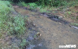 Ảnh: Cận cảnh con suối đen sì gần nhà máy nước sạch sông Đà bị 'đầu độc' bởi dầu thải