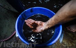 Viwaco thau rửa bể chung cư phát hiện nước đen kịt nồng nặc mùi