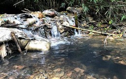 Đổ trộm dầu thải gây ô nhiễm nguồn nước sông Đà sẽ bị xử lý thế nào?