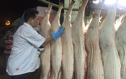Thịt heo Braxin, Mỹ... ồ ạt về cạnh tranh với Việt Nam