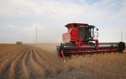 “Trung Quốc miễn thuế trừng phạt 10 triệu tấn đậu tương Mỹ”