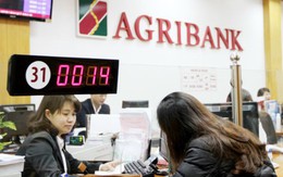Agribank báo lợi nhuận 9.700 tỷ đồng sau 9 tháng, hoàn thành 88% kế hoạch năm