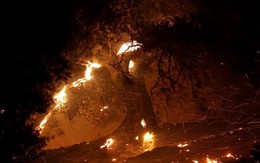 Hàng trăm căn nhà ở California bị thiêu rụi do cháy rừng