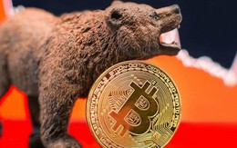 Bitcoin lùi sâu về 7.000 USD