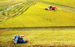 Bộ Tài chính xin miễn, giảm 7.500 tỷ đồng thuế sử dụng đất nông nghiệp