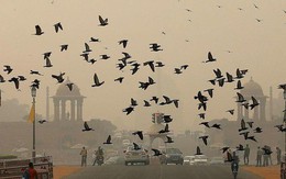 Báo động ô nhiễm không khí ở New Delhi