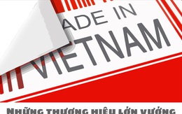 Infographic: Những thương hiệu lớn vướng nghi vấn xuất xứ hàng hoá