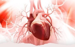 5 thao tác nhỏ giúp bạn kiểm tra chính xác tim và phổi có khỏe mạnh không, sau đó hãy làm ngay 3 việc để tự cứu mình