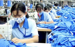 Mỹ tuyên bố Luật Lao động sửa đổi của Việt Nam bảo vệ người lao động tốt hơn