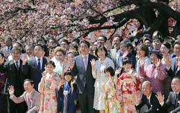 Tỷ lệ ủng hộ Thủ tướng Nhật Bản sụt giảm vì “bê bối hoa anh đào”