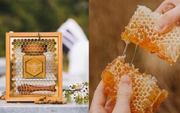 Có gì bên trong loại mật ong đắt tiền nhất thế giới khiến dân tình sẵn sàng chi tới nghìn đô để mua cho bằng được?
