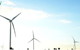 Đề xuất đưa 3.400MW điện gió Kê Gà vào Quy hoạch Điện quốc gia