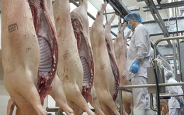 Nhập khẩu thịt lợn của Trung Quốc tăng vọt