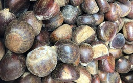 Hạt dẻ TQ 50-60.000 đồng/kg gắn mác hạt dẻ Trùng Khánh, Sapa thổi giá cao gấp 3