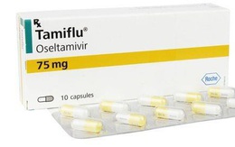 Nhập khẩn cấp 5 vạn viên Tamiflu