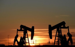 Chuyên gia dự báo gì về giá dầu trong 2020?