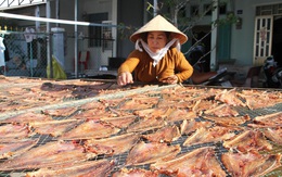 [Photo] Làng khô xứ biển Trần Đề chuẩn bị nguồn hàng phục vụ Tết