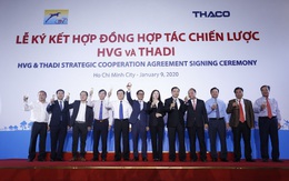 Thuỷ sản Hùng Vương (HVG): Cùng THADI lập công ty heo giống và thức ăn chăn nuôi vốn điều lệ 556 tỷ đồng