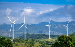 Bị cắt giảm công suất mức cao, nhà đầu tư điện gió xin được “đối xử công bằng”