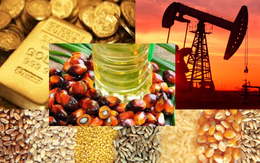 Thị trường ngày 18/1: Giá dầu, vàng, sắt, thép đồng loạt tăng; palađi vượt ngưỡng 2.500 USD/ounce