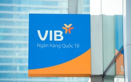 VIB lãi trước thuế 4.082 tỷ đồng trong năm 2019, tăng gần gấp rưỡi so với 2018