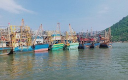 Phó Chủ tịch tỉnh Bình Định khuyến khích ngư dân kiện bảo hiểm PJICO ra tòa