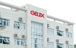 Gelex (GEX) báo quý 4/2019 lãi 145 tỷ đồng giảm 1 nửa so với cùng kỳ