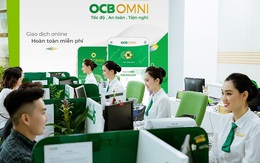 Một ngân hàng Nhật Bản muốn mua 11% cổ phần tại OCB