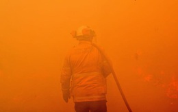 Những con số lột tả thảm họa cháy rừng khiến nước Úc và cả thế giới bàng hoàng