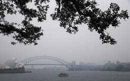 Ngập bụi mịn vì cháy rừng, Sydney đang trở thành "phòng thí nghiệm" của cả thế giới