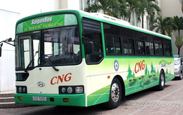 CNG Việt Nam ước lãi 107 tỷ đồng năm 2019, hoàn thành kế hoạch được giao