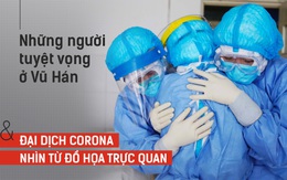 Những người tuyệt vọng ở Vũ Hán và đại dịch Corona nhìn từ đồ họa trực quan