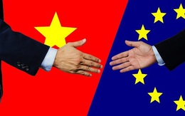 Nghị viện châu Âu chính thức thông qua Hiệp định EVFTA