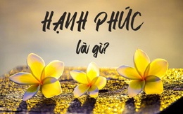 Ai cũng theo đuổi hạnh phúc nhưng mấy người hiểu thấu một điều đơn giản: Hạnh phúc không phải sự hoàn hảo!