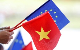 EVFTA được thông qua: 'Nếu không đổi mới, doanh nghiệp Việt sẽ chỉ là sân sau của thị trường EU'