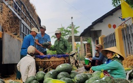 Xuất khẩu rau quả sang Trung Quốc giảm mạnh do virus Covid-19