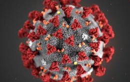 Tốc độ lây lan của chủng mới của virus corona nhanh như thế nào?