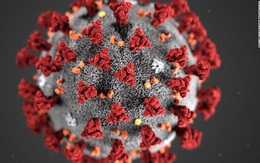 WHO: Dịch bệnh do virus corona chưa phải là đại dịch
