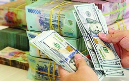 Giá USD ngân hàng giảm mạnh