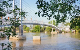 Khánh thành cầu Khang Phúc – Masan Consumer góp phần phát triển nền kinh tế tỉnh Tiền Giang