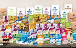 SBT Q2 2019-2020 - doanh thu hoàn thành gần 60% kế hoạch, nợ vay liên tục giảm mạnh (P2)